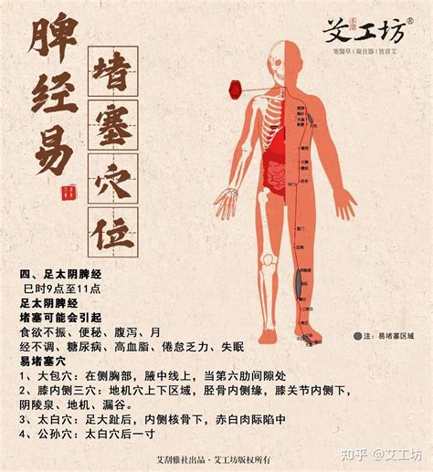 這個穴不能用了|隱白、太白、商丘、漏谷、血海，脾經上治療疾病的11個重要穴位